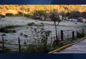 Sierra Nororiental de Puebla amaneció el miércoles cubierta de hielo