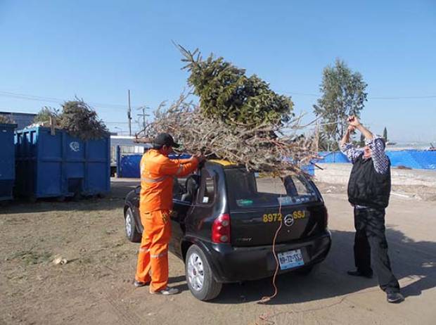 Ayuntamiento de Puebla lanza programa de reciclaje de árboles navideños naturales
