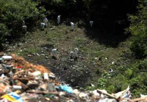 Fiscal para caso Ayotzinapa pide nuevo peritaje en basurero