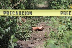 Hallan cadáver de un hombre degollado en Tehuacán