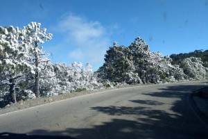 FOTOS: Paisaje invernal se repite este lunes en la Sierra Negra de Puebla