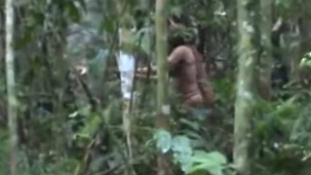 Único sobreviviente de tribu, captado en selva de Brasil