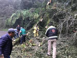 Aguanieve provocó caída de árboles sobre carreteras en Zacatlán