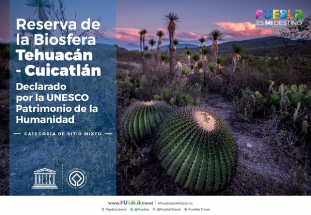 La Unesco declara a la Biósfera de Tehuacán-Cuicatlán como Patrimonio de la Humanidad