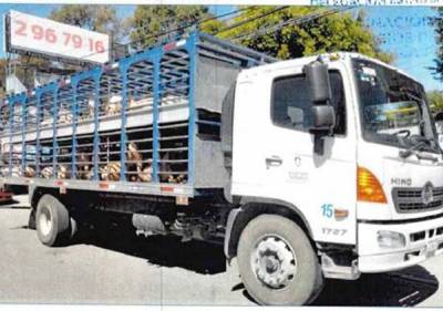 Robó en Puebla transporte con 60 cabezas de ganado; le dan 12 años de cárcel