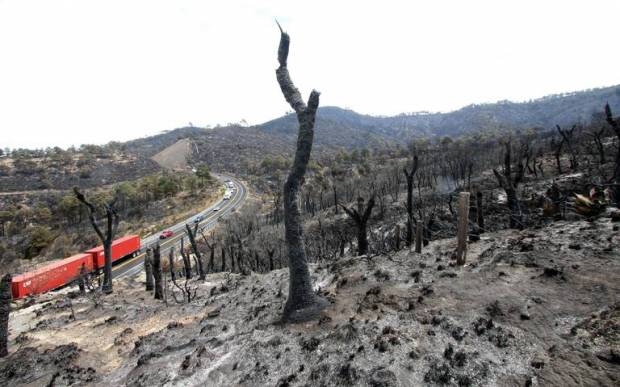 Incendio consume 300 hectáreas en zona Libres-Oriental