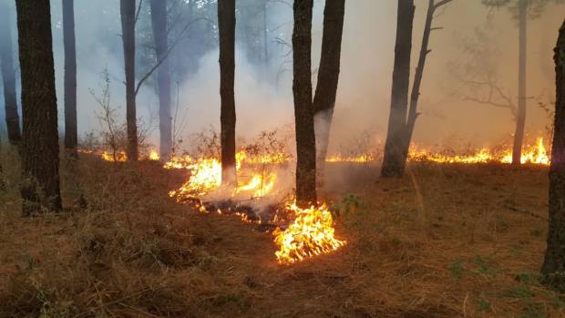 Casi 3 mil hectáreas afectadas por incendios en Puebla: SMAOT
