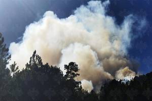 Sofocan bomberos incendio en límites de Chignahuapan y Zacatlán
