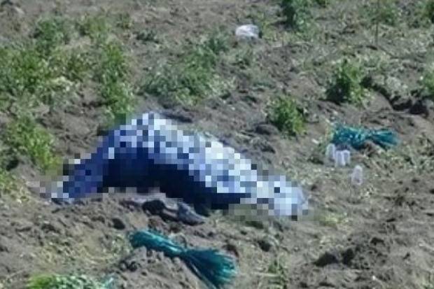 Mujer fue asesinada a balazos en Acatzingo
