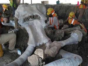 Restos de mamut ponen en riesgo Aeropuerto de Santa Lucía