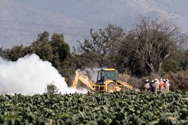 7 hectáreas de cultivo perdidas por fuga de gas en Los Reyes de Juárez