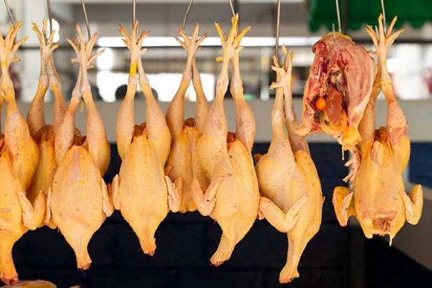 Alertan por pollo contaminado proveniente de Estados Unidos