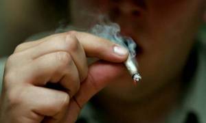 Morena va por mercado regulado de mariguana en todo el país