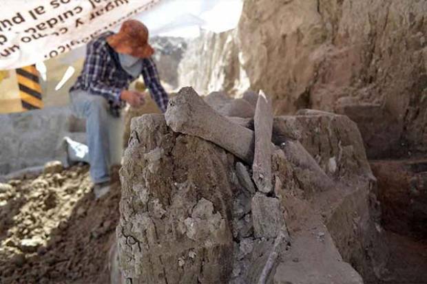 Hallan restos de mamut en Tultepec, Estado de México