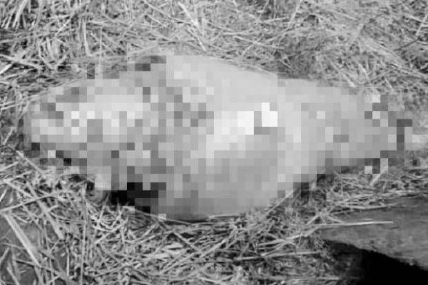Localizan tres cadáveres envueltos con plástico en Tepeaca