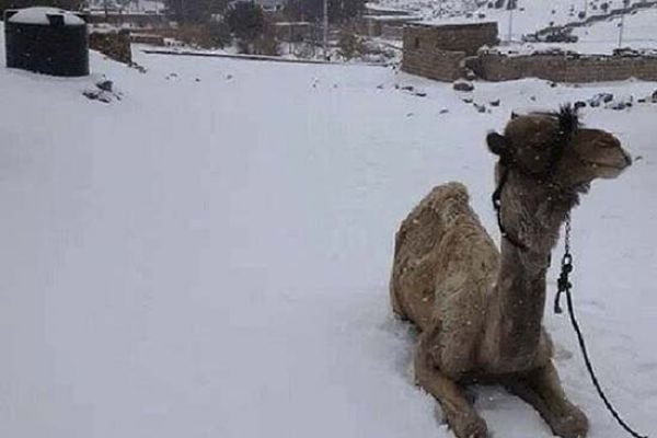 Nieva por primera vez en Egipto en más de 100 años