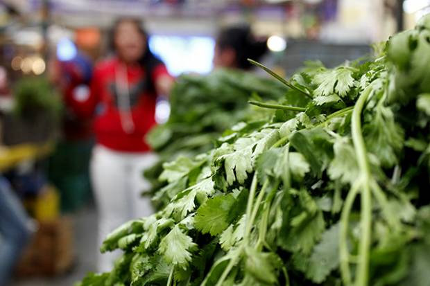 Cilantro de Puebla pudo contaminarse pero en EU, investiga Senasica