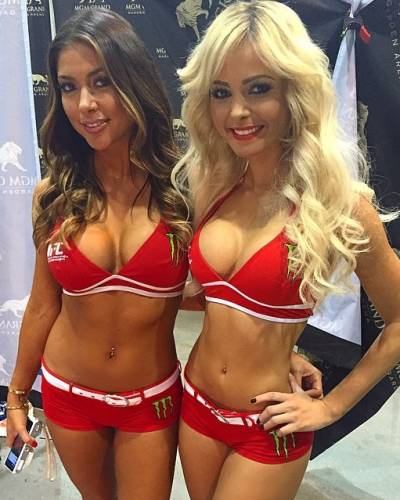 FOTOS: Chicas del Ring, la sexy imagen de la UFC