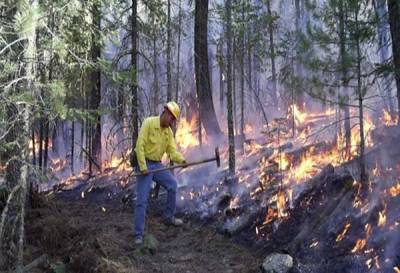 Puebla, entre los 10 estados con más incendios forestales