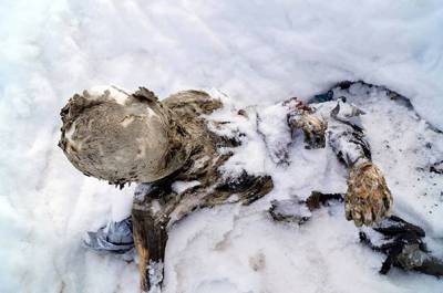 VIDEO: Alpinistas comparten hallazgo de momias en Pico de Orizaba