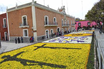 Un tapete floral recibe a la primavera en Atlixco, Puebla