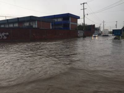 FOTOS: Tormenta en Puebla deja encharcamientos y árboles caídos