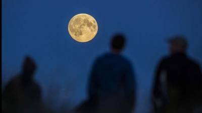 FOTOS: Luna de Sangre, su gran espectáculo por el mundo