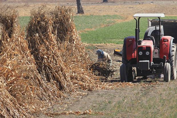 Canícula y “El Niño” inhibirán lluvias de agosto y septiembre en Puebla