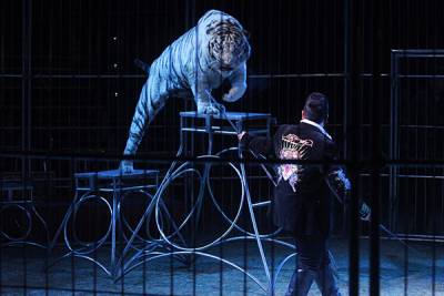 Circo Atayde extenderá funciones con animales en Puebla por éxito