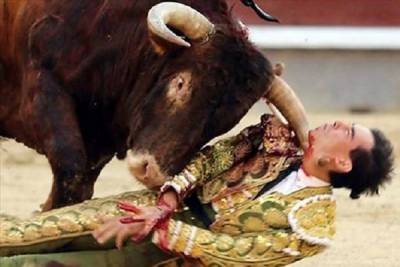 VIDEO: Torero grave en España tras recibir cornada en el cuello