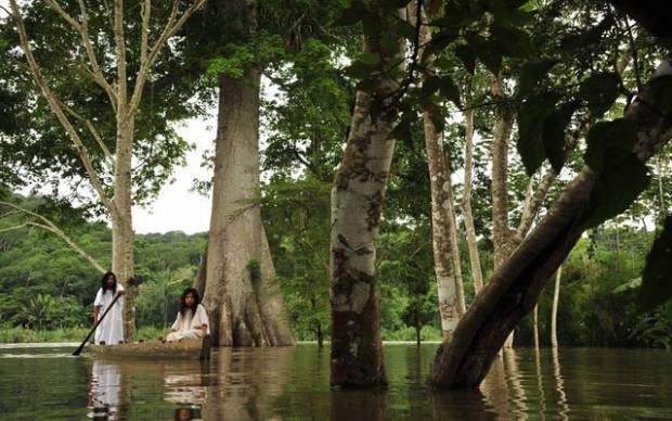 La enigmática Selva Lacandona de Chiapas