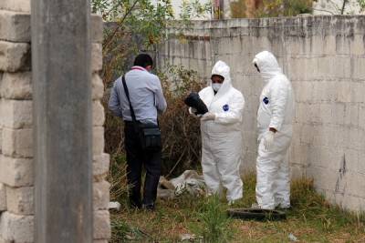 Encuentran cadáver que era devorado por perros en San José Chapulco