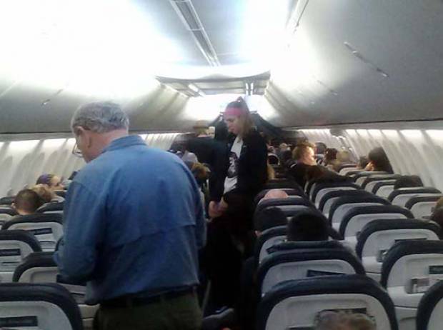 Escorpión pica a una mujer en un avión proveniente de Los Cabos