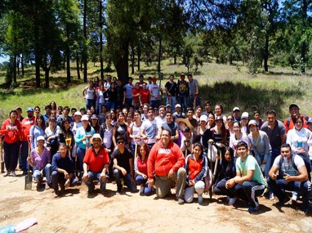 UMAD plantó 450 árboles en el Cerro Zapotecas