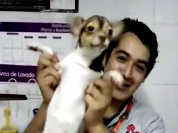 +Kota pone demanda contra empleados que dieron golpiza a animales