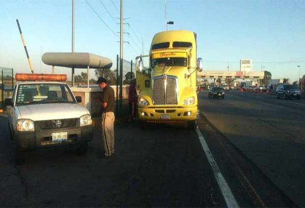 Sacrifican a 4 mil 800 gallinas de desecho que pretendían ingresar a Puebla