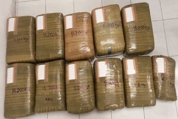 Incautan más de 100 kilos de marihuana en Arco de Seguridad de Palmar de Bravo