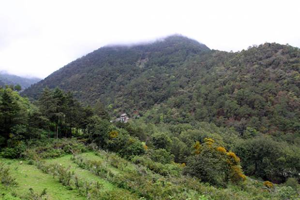 Poder Judicial suspende concesiones mineras en la Sierra Norte de Puebla