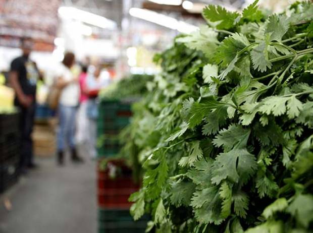 200 camiones con cilantro de Puebla detenidos en la frontera, por veto de EU