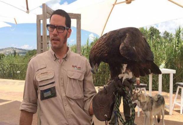 Africam Safari se pone al frente de la conservación del águila real