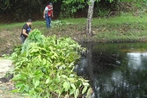 Derrame de petróleo contamina arroyos de la Sierra Norte de Puebla