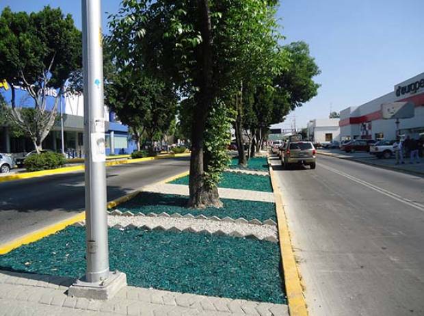 Ayuntamiento de Puebla coloca mulch orgánico en camellones de la ciudad