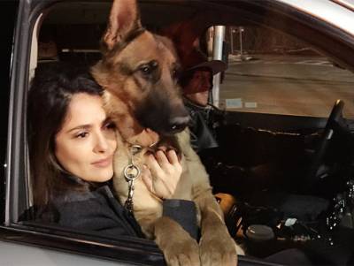 Salma Hayek pide justicia por el asesinato de su perro