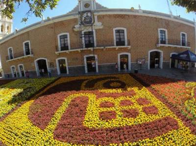 FOTOS: Atlixco presume tapete monumental de flores por Día de Muertos