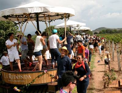 Vino y música en la Fiesta de la Vendimia de Querétaro