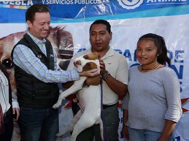 Luis Banck supervisa adopción de mascotas en Analco