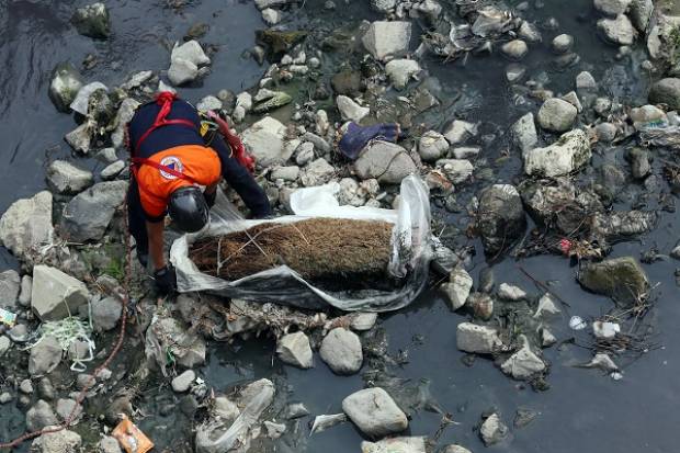 Confundieron árbol de navidad con cadáver en inmediaciones del río Atoyac