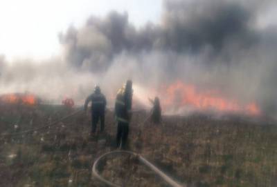 FOTOS: Bomberos sofocaron incendio de carpintería en San Francisco Ocotlán