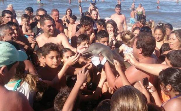 ¡Turistas con manos de estómago! Aquí un ejemplo