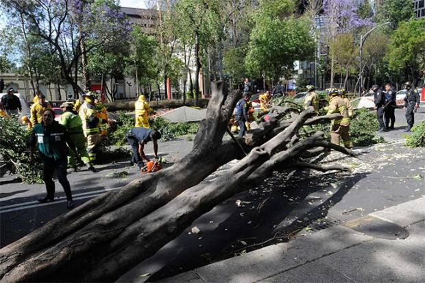 Al menos tres muertos en el país por intenso temporal